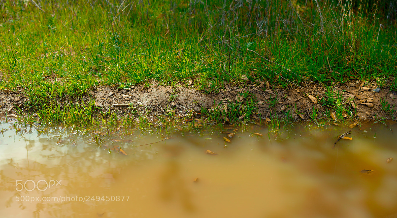 Sony a7R III sample photo. Dsc photography