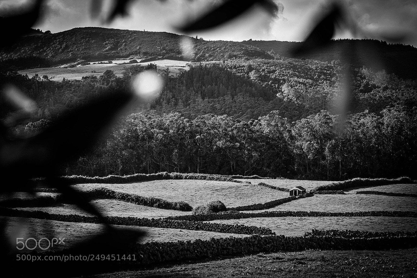 Nikon D610 sample photo. Little house... photography