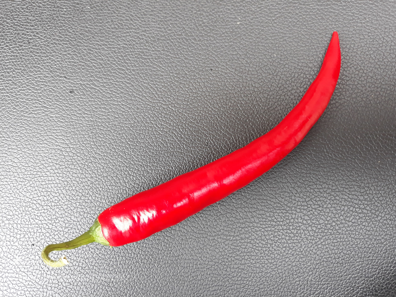 Samsung Galaxy J5 sample photo. Scharf. photography