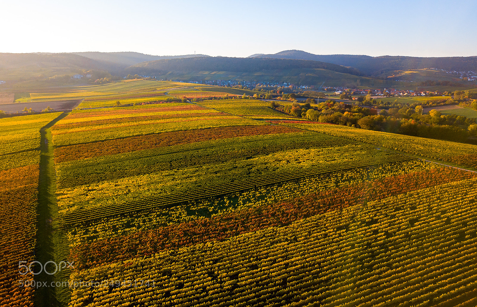 DJI FC220 sample photo. Colorful wine photography