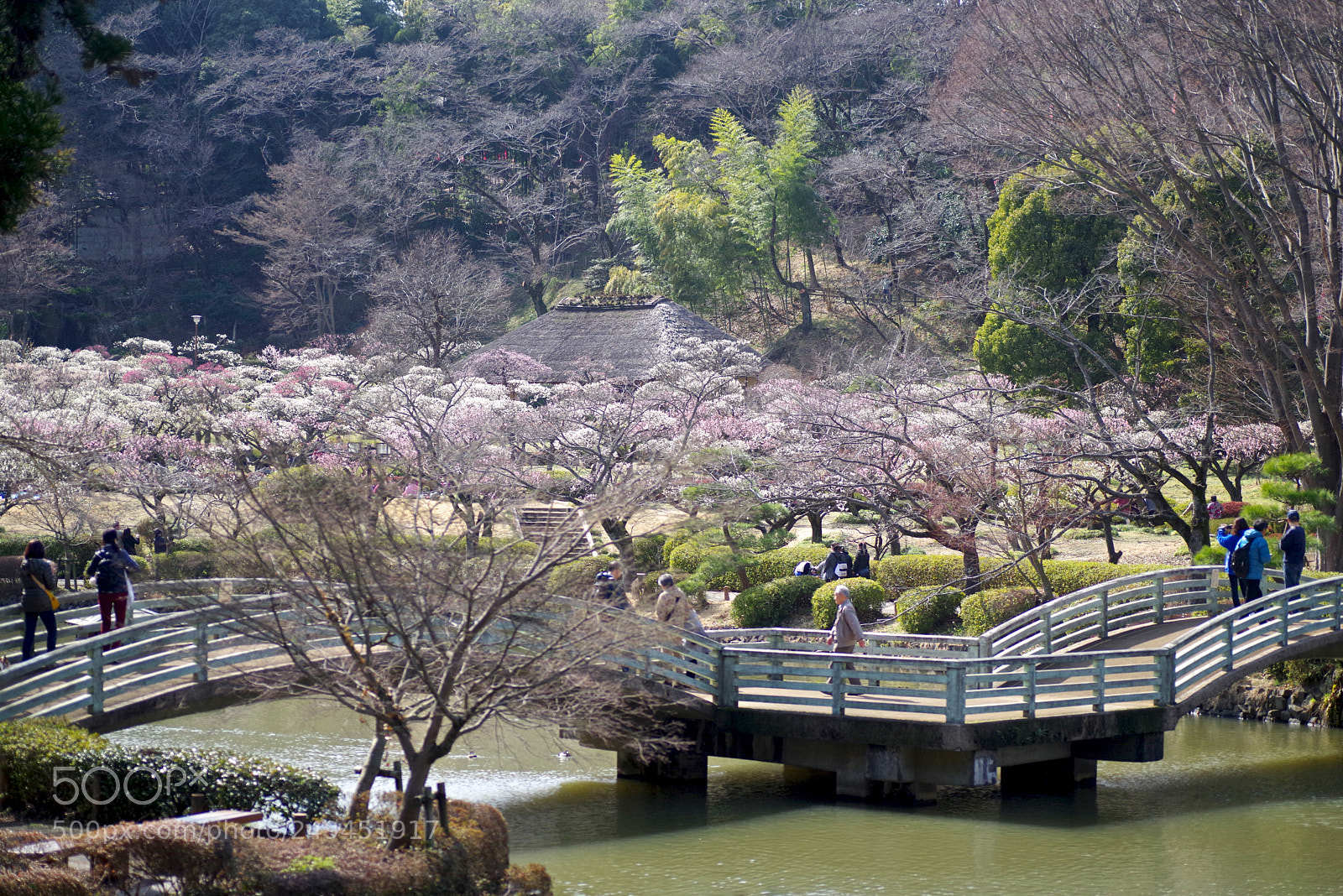 Pentax K-1 sample photo. Over the bridge photography