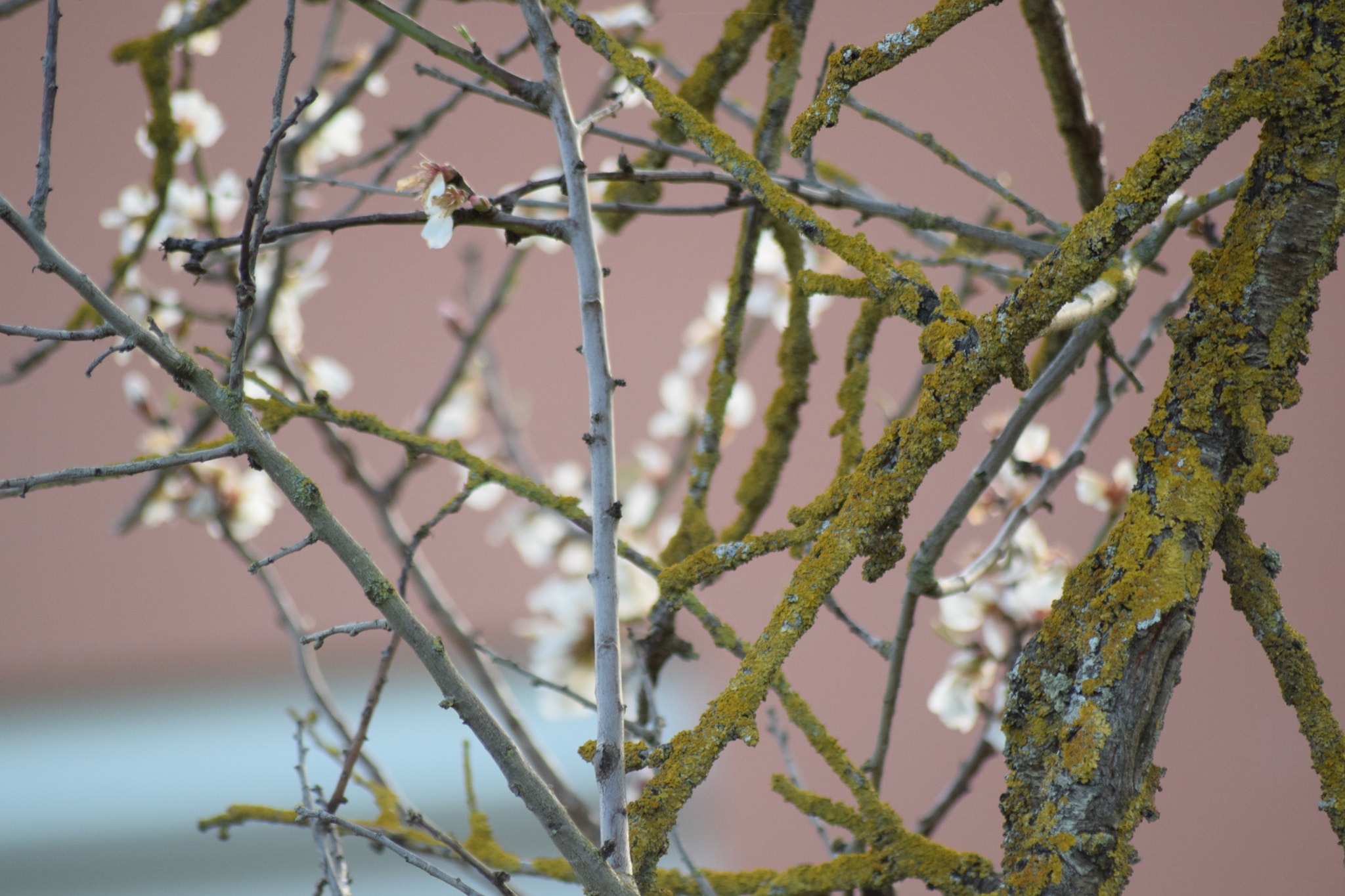 Nikon D5300 + Sigma 70-300mm F4-5.6 APO DG Macro sample photo. Mars les jours rallongent peu à peu photography