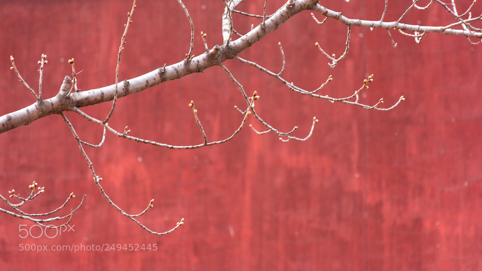Nikon D7100 sample photo. Untitled photography