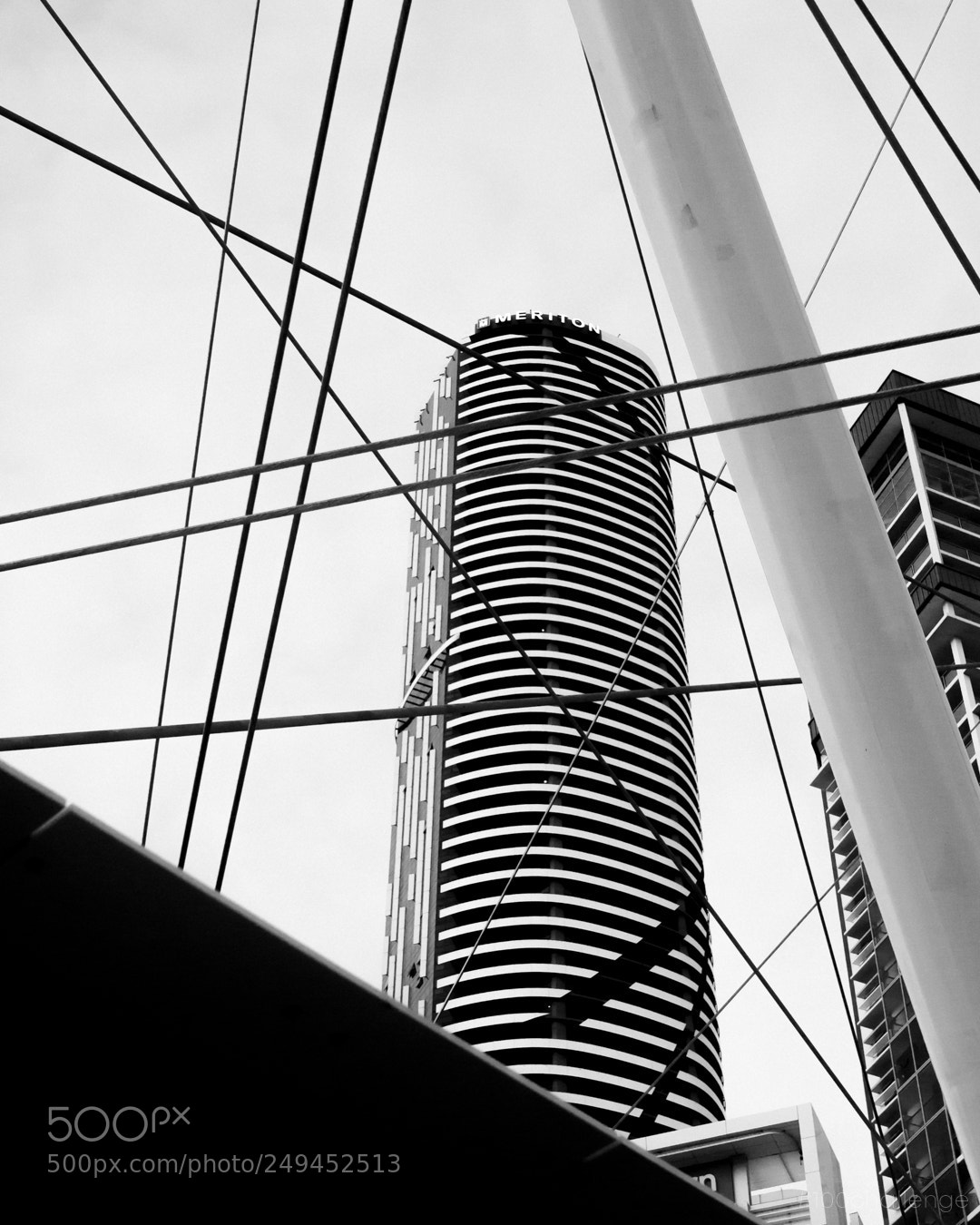 Olympus PEN E-PL3 sample photo. Caught in the web photography