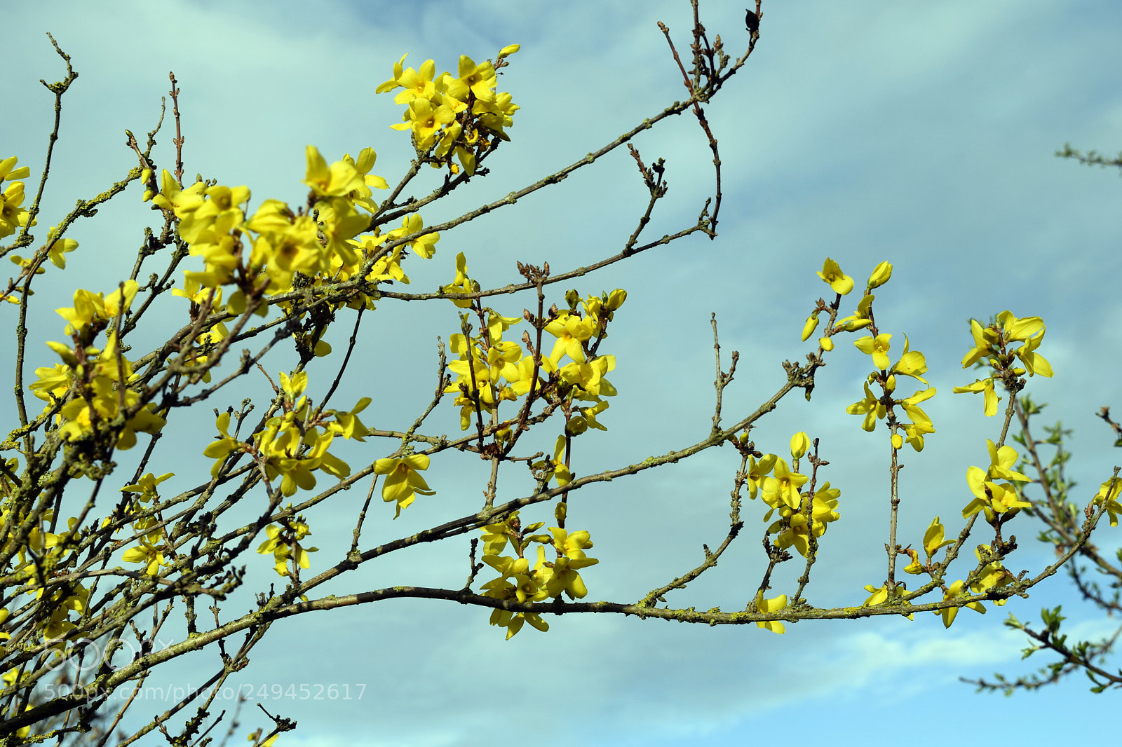 Nikon D5300 sample photo. Mars les jours rallongent photography