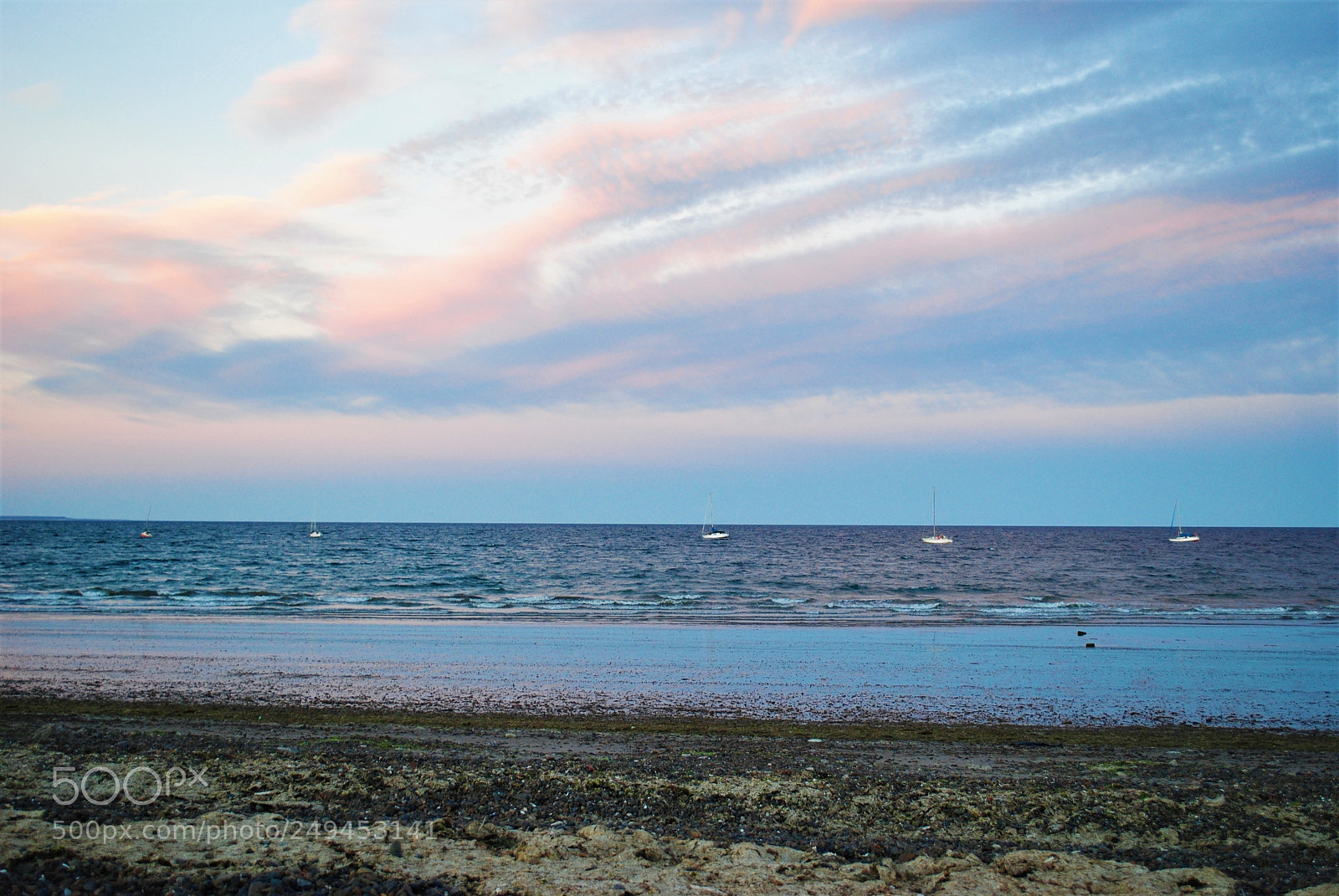 Nikon D3000 sample photo. Untitled photography