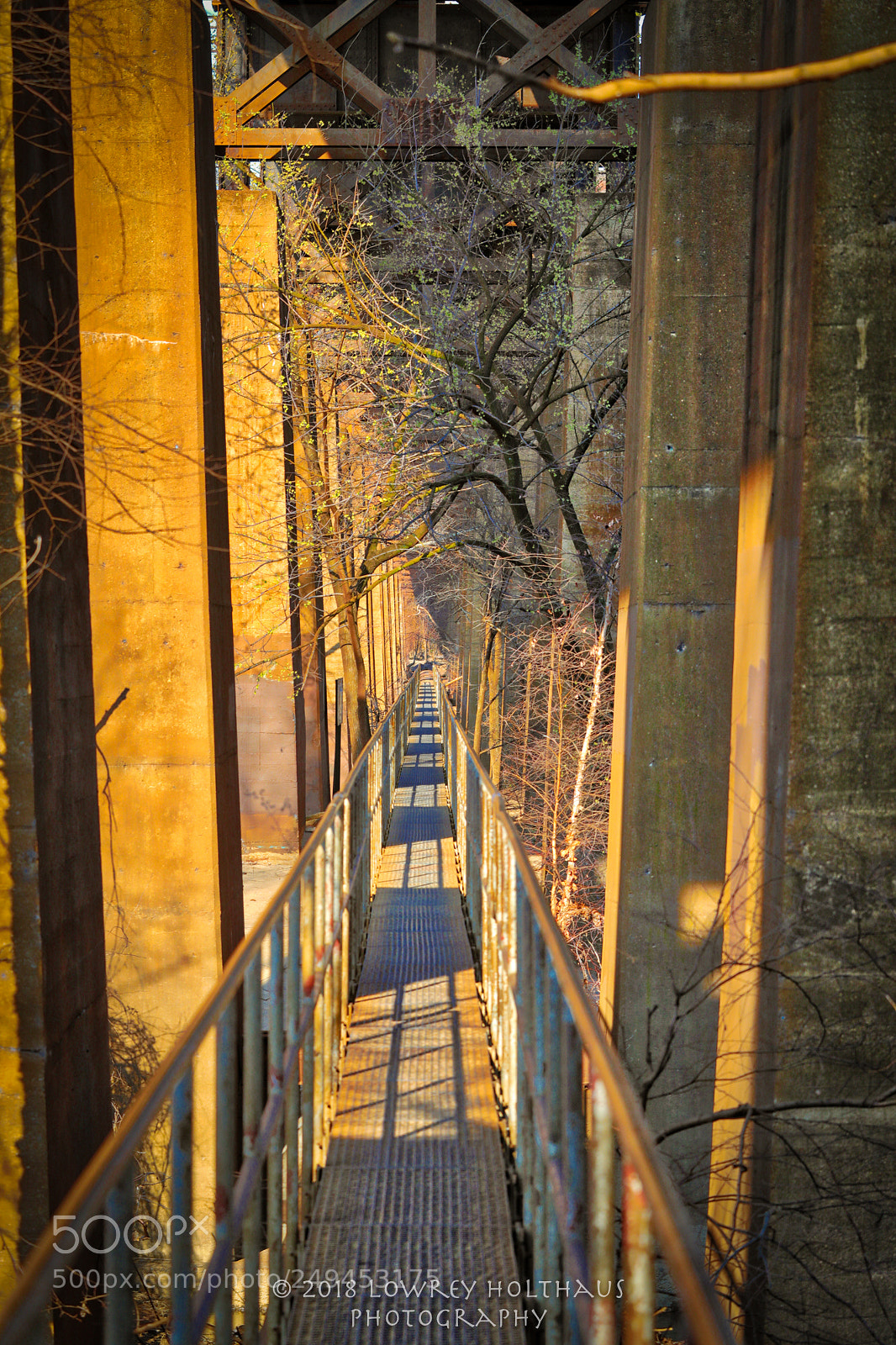 Canon EOS 5D Mark IV sample photo. Morning sun on the photography