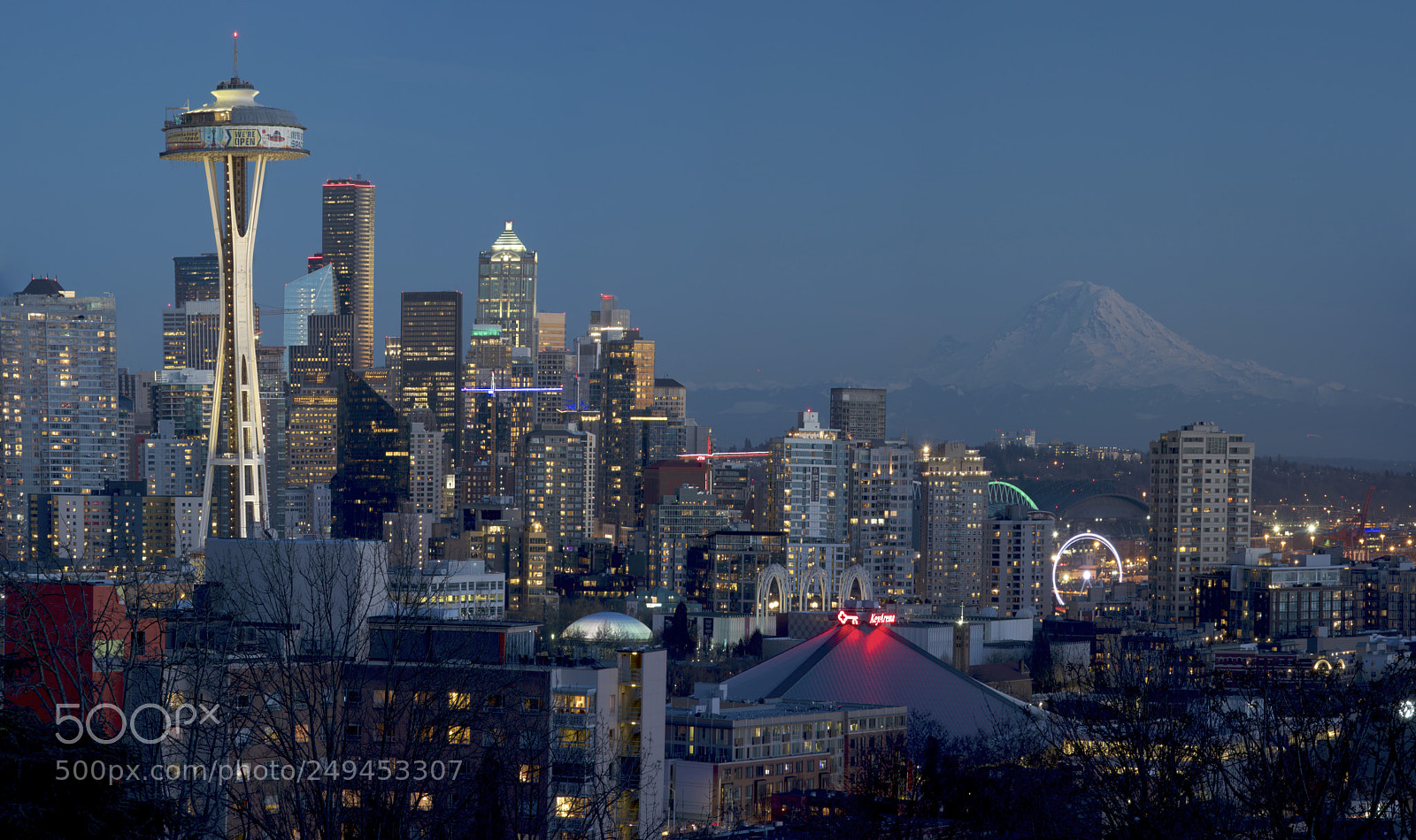 Nikon D810 sample photo. Seattle blue hour photography
