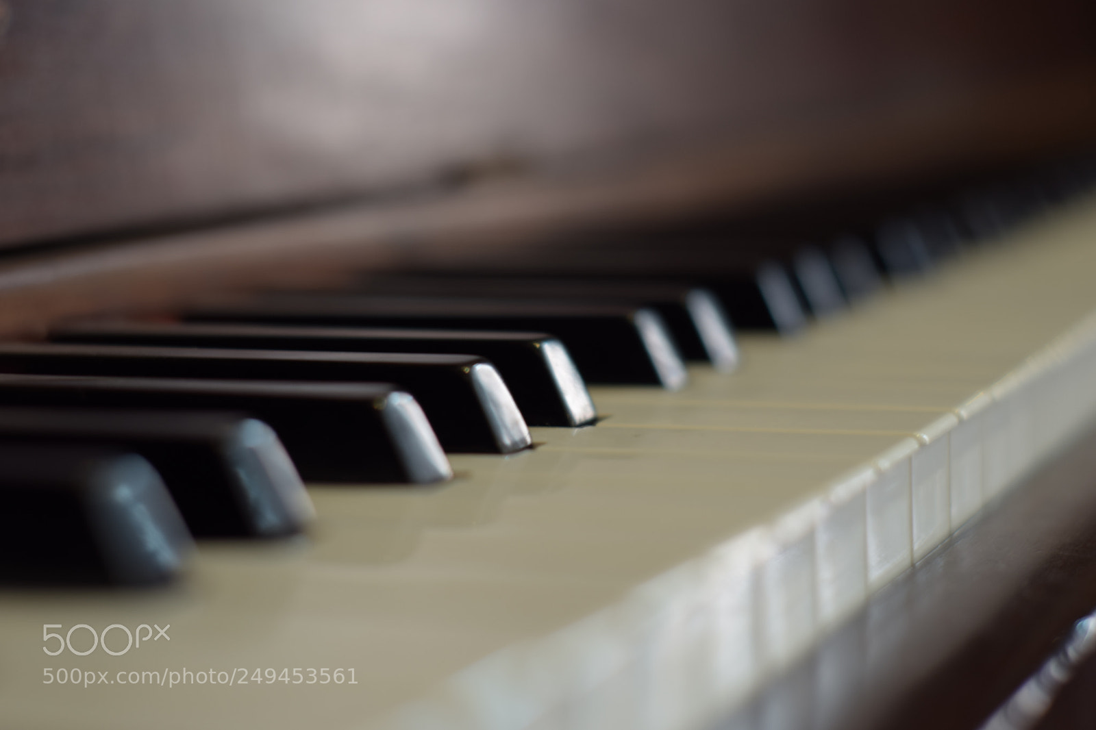 Nikon D5300 sample photo. Untitled photography