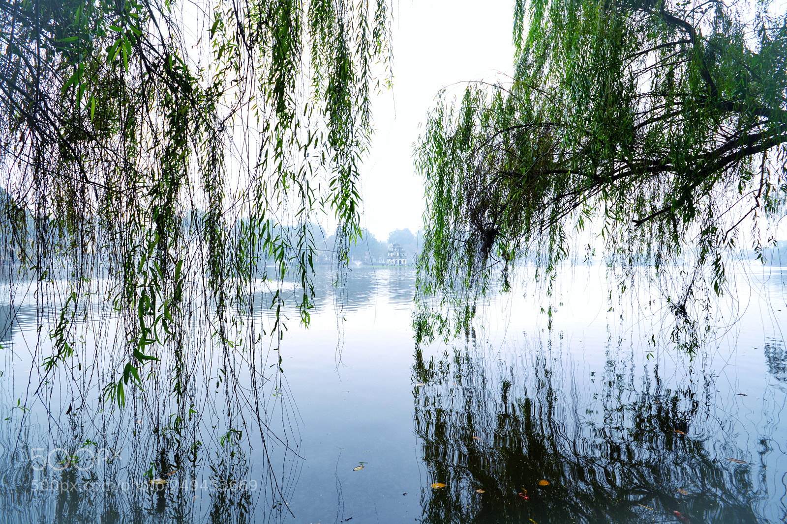 Nikon D7100 sample photo. Untitled photography