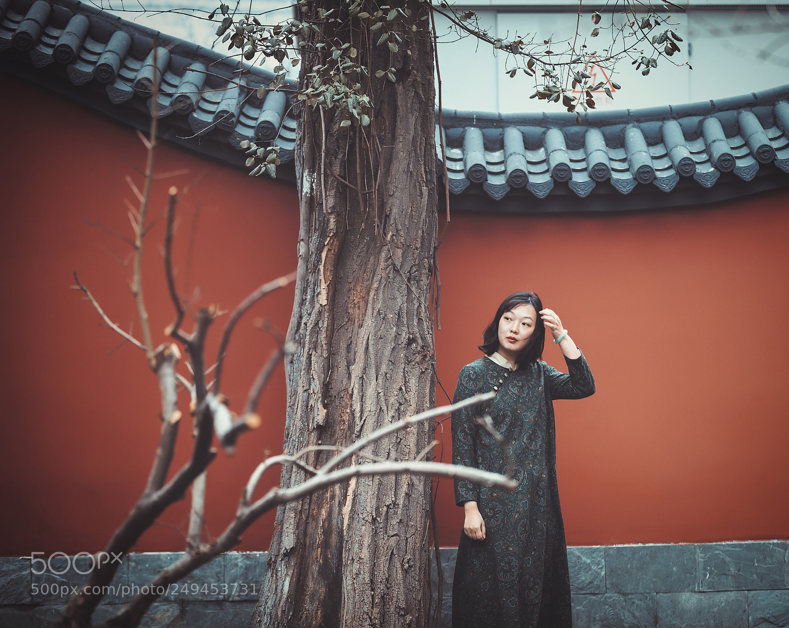 Canon EOS 5D Mark IV sample photo. Sunshine in winter photography
