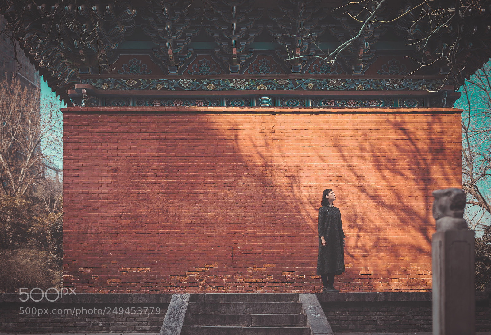 Canon EOS 5D Mark IV sample photo. Sunshine in winter photography