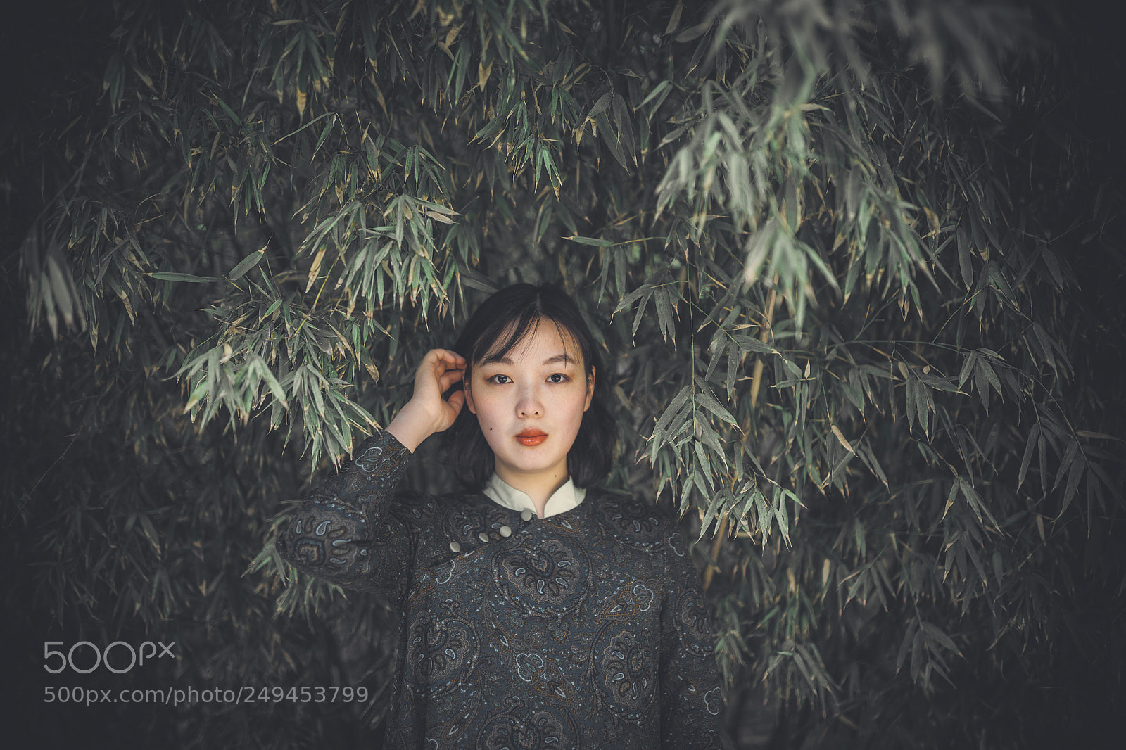 Canon EOS 5D Mark IV sample photo. Sunshine in winter photography