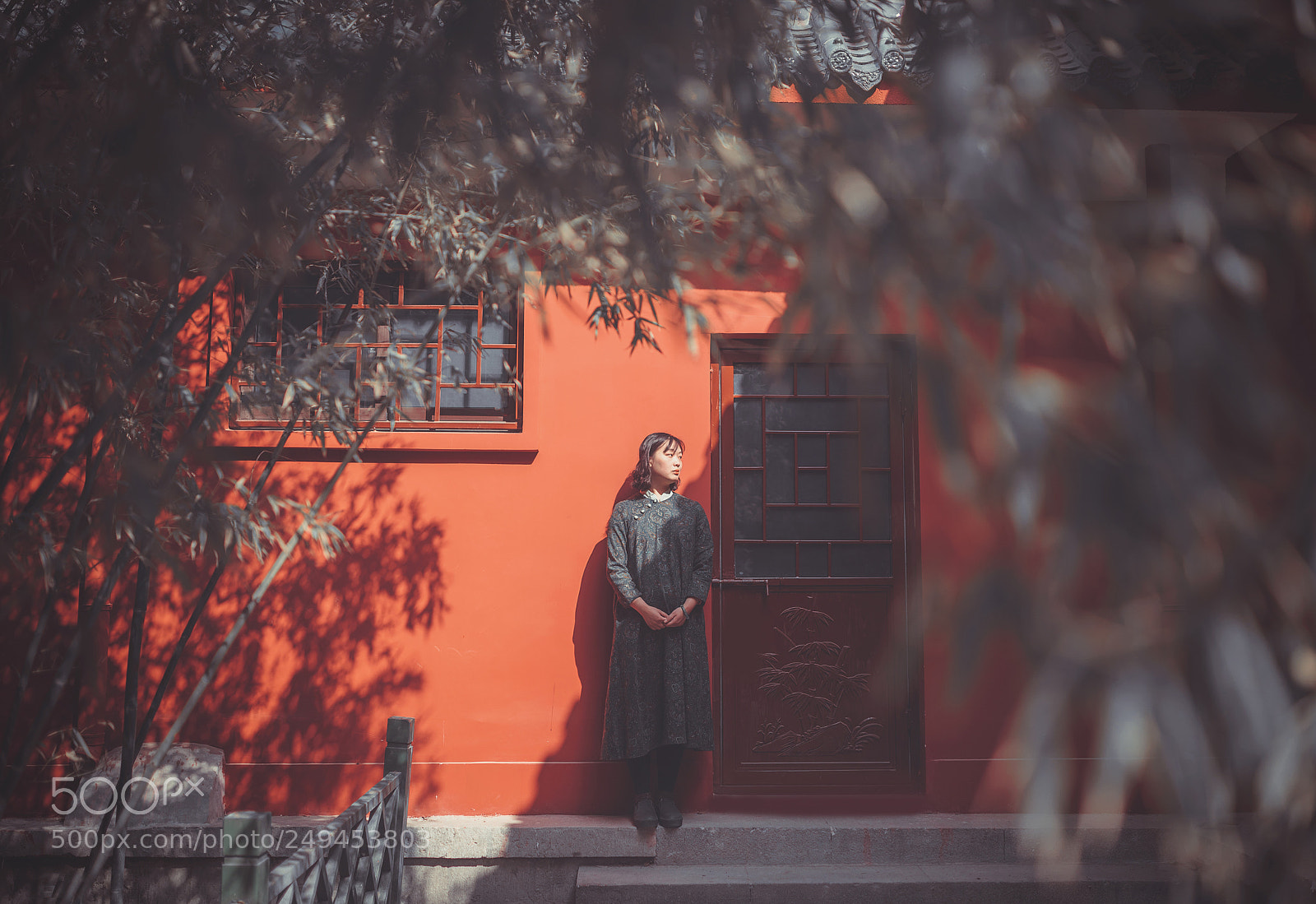 Canon EOS 5D Mark IV sample photo. Sunshine in winter photography