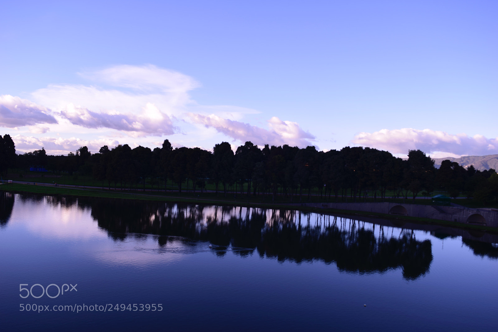 Nikon D5300 sample photo. Untitled photography