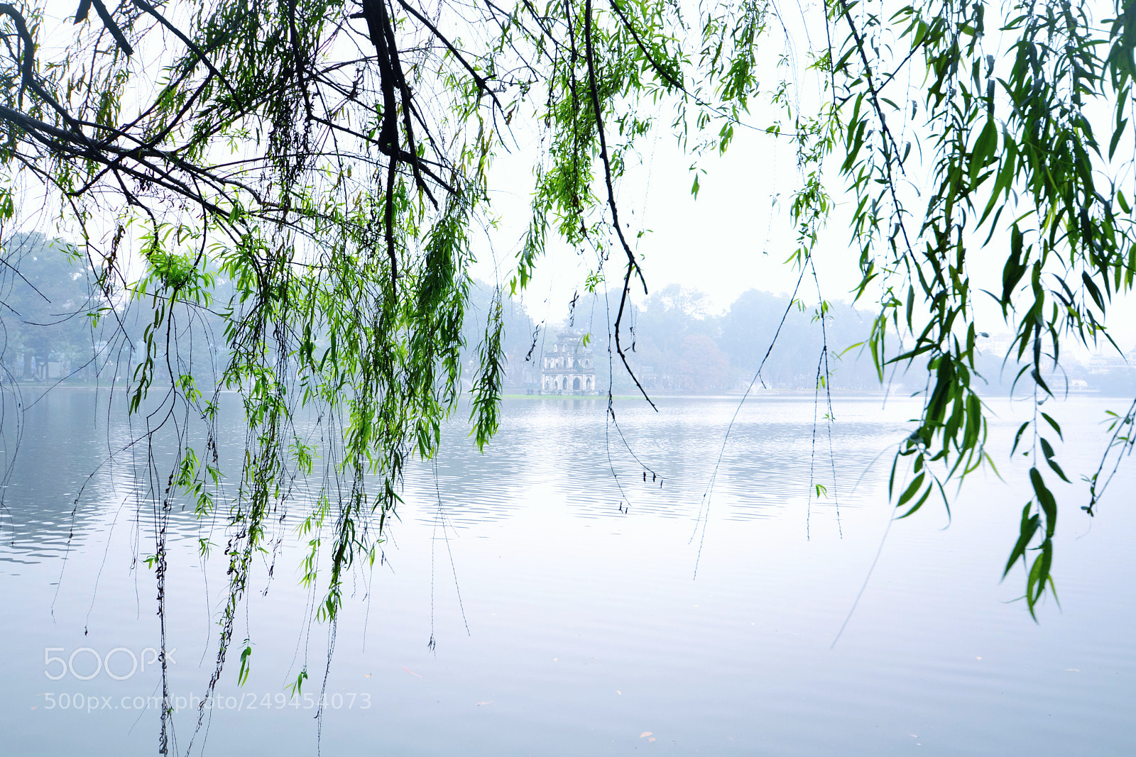 Nikon D7100 sample photo. Untitled photography