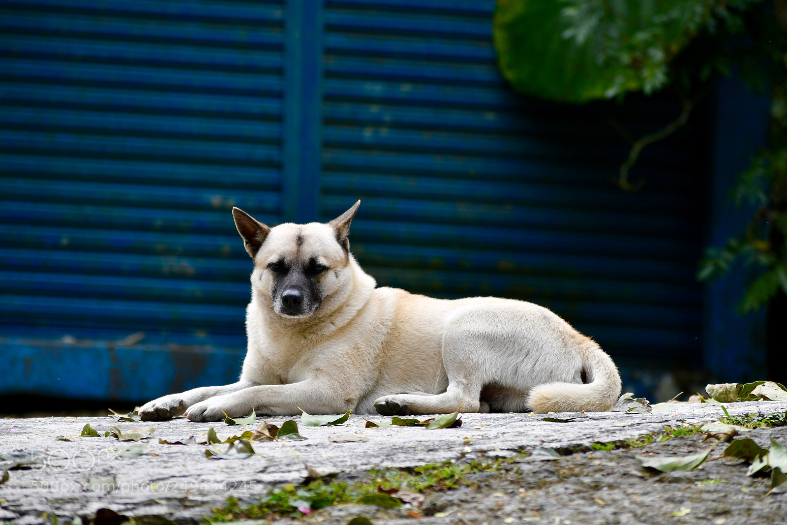 Nikon D7500 sample photo. Untitled photography