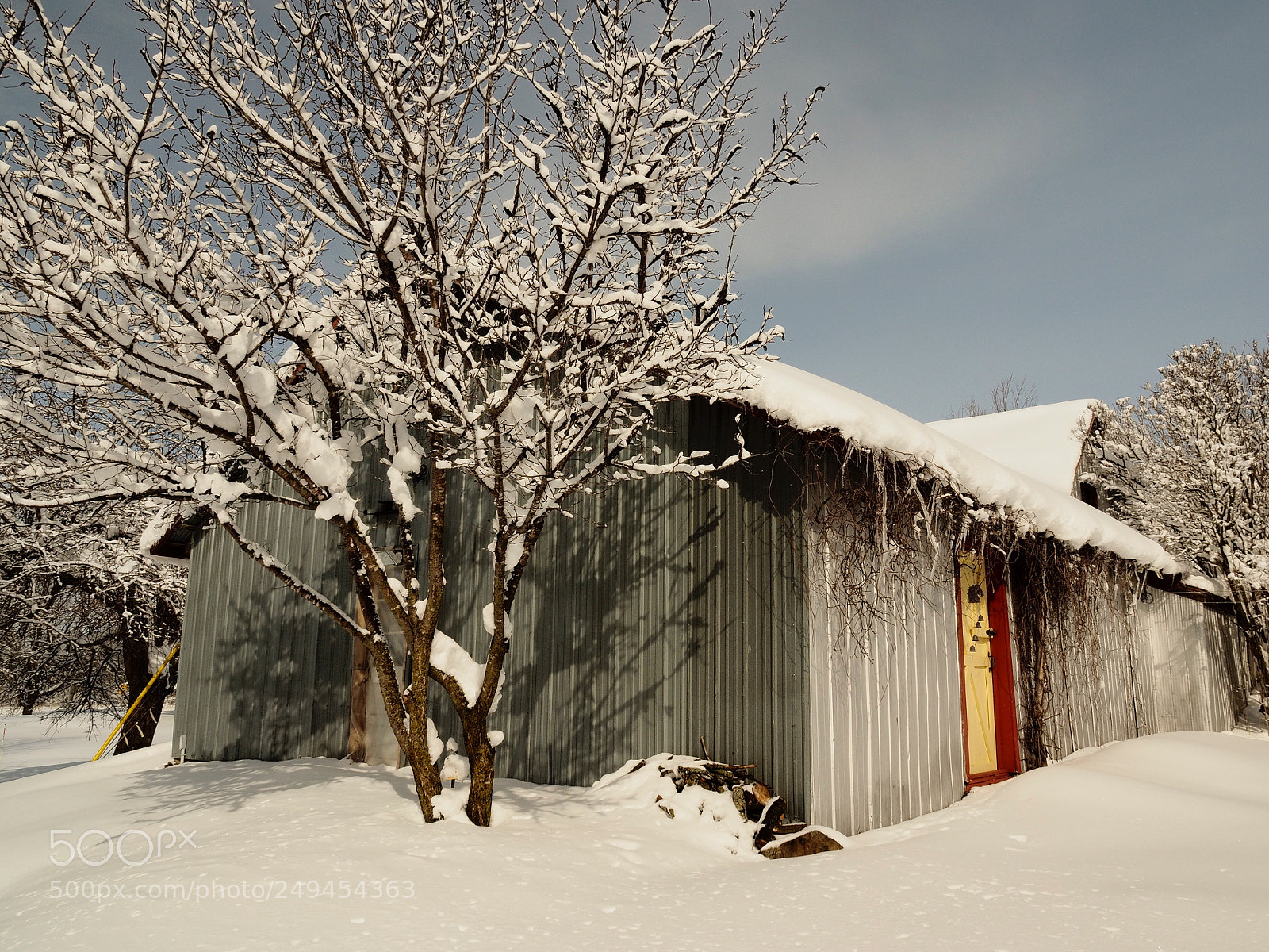 Olympus OM-D E-M1 sample photo. Winter day photography