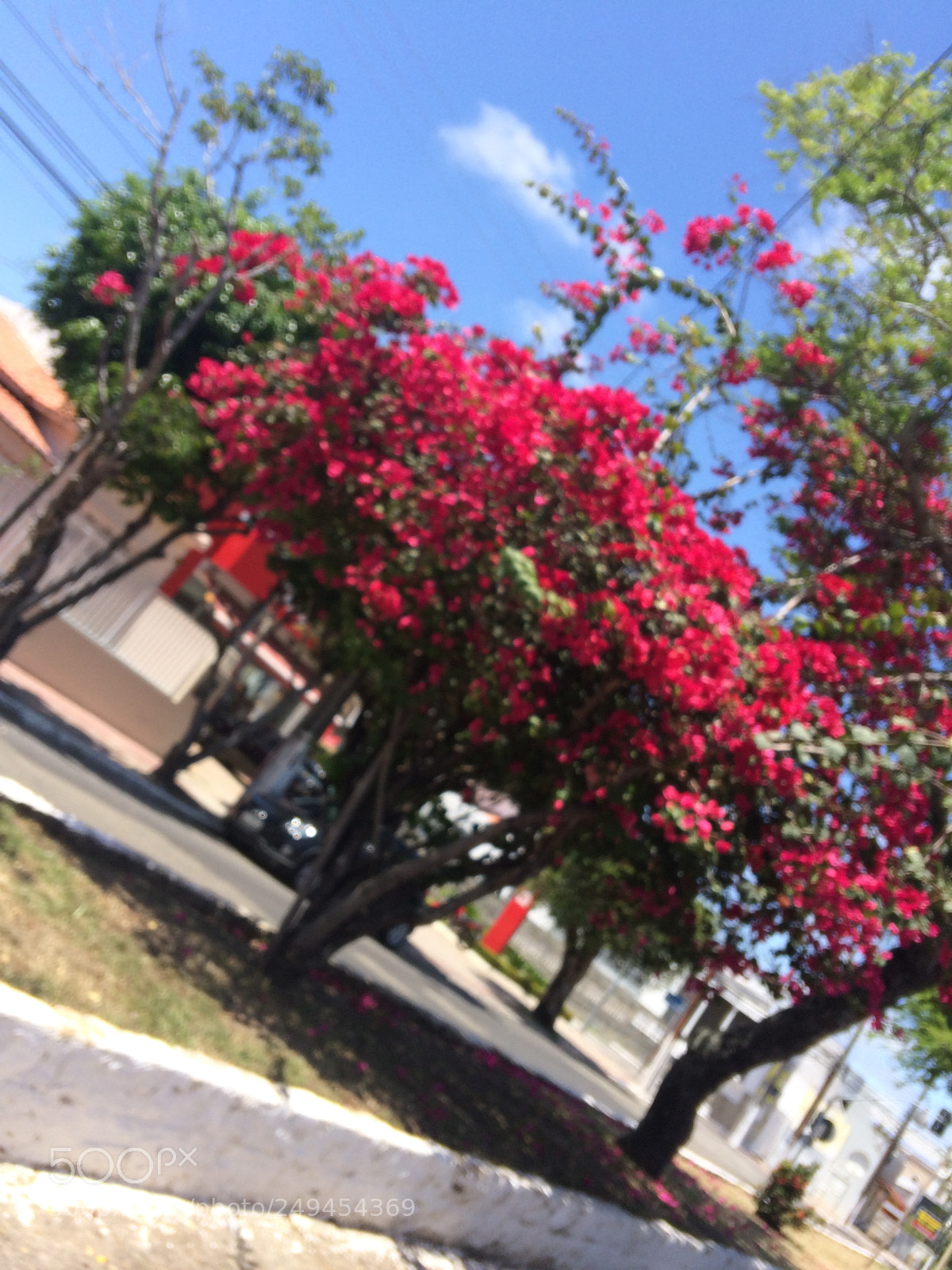 Apple iPhone 5s sample photo. Untitled photography