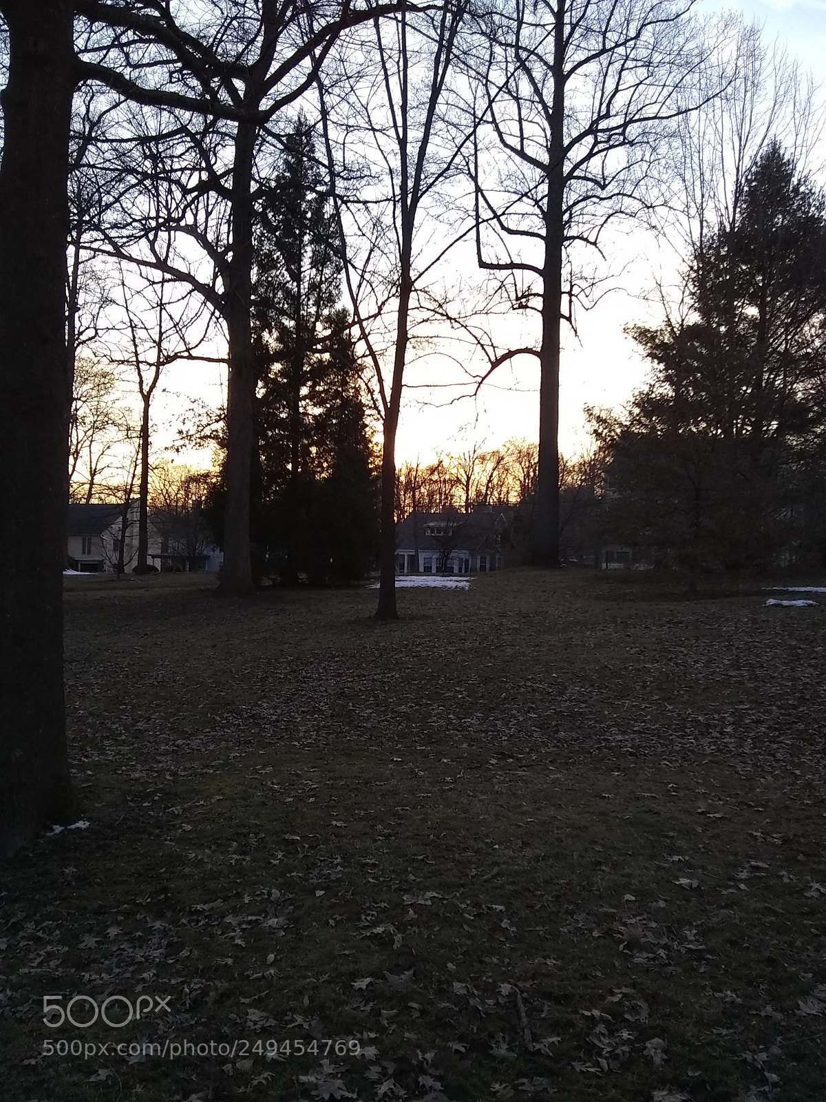Motorola Moto E4 sample photo. Untitled photography