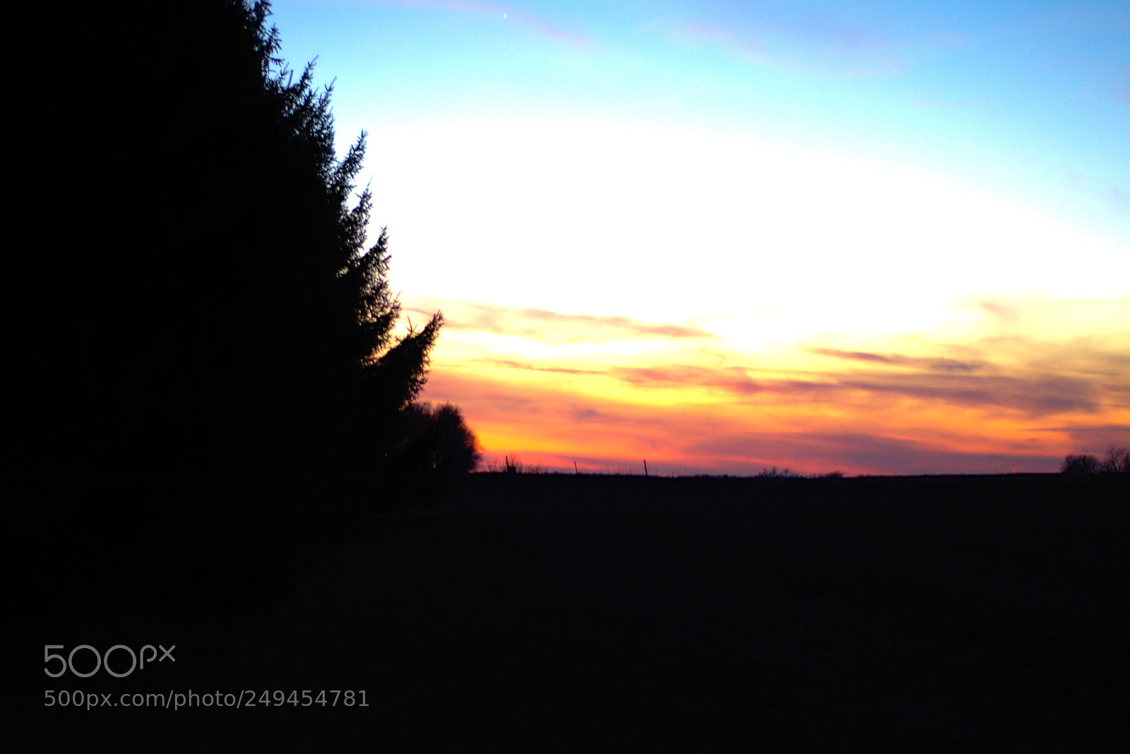 Nikon D7200 sample photo. 3-15sun02 photography