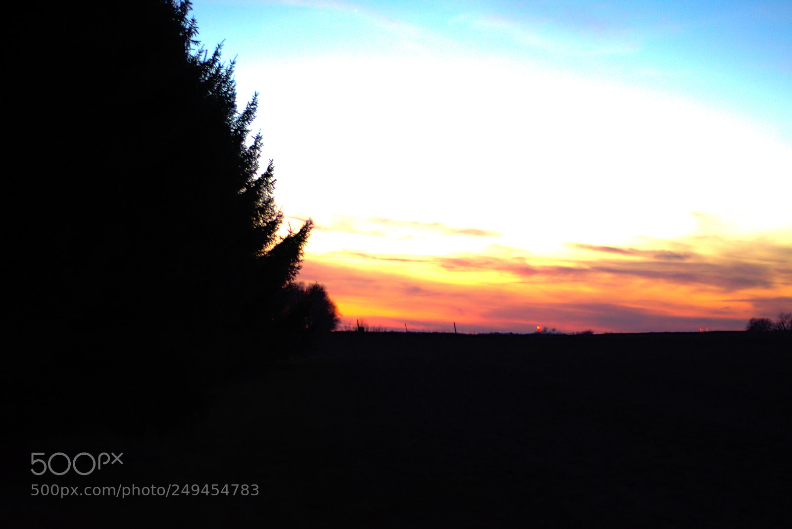 Nikon D7200 sample photo. 3-15sun01 photography