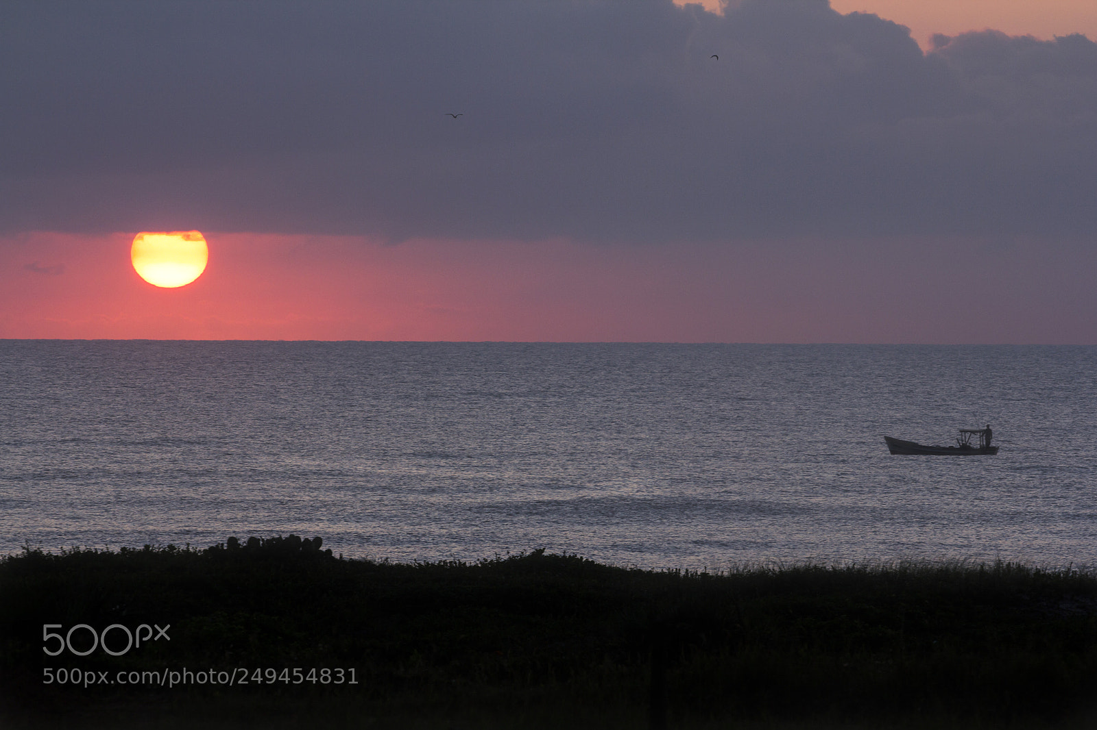 Canon EOS 60D sample photo. Sunset s o francisco photography