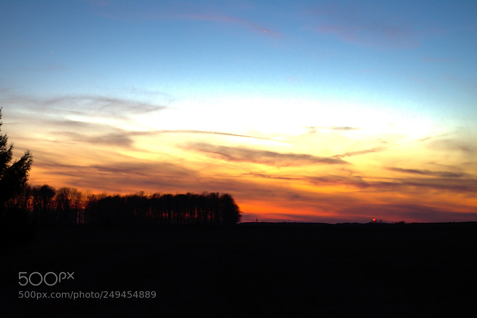 Nikon D7200 sample photo. 3-15sun03 photography
