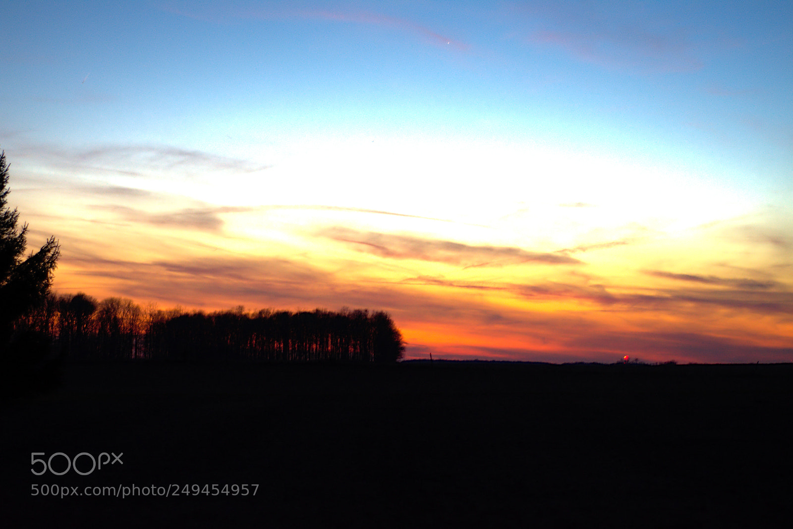 Nikon D7200 sample photo. 3-15sun5 photography