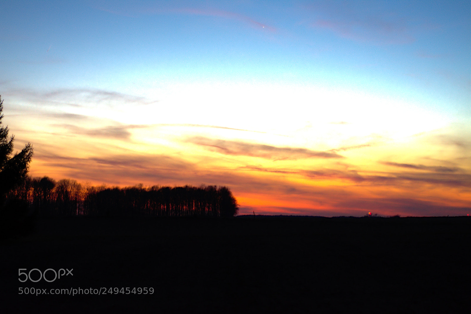 Nikon D7200 sample photo. 3-15sun04 photography