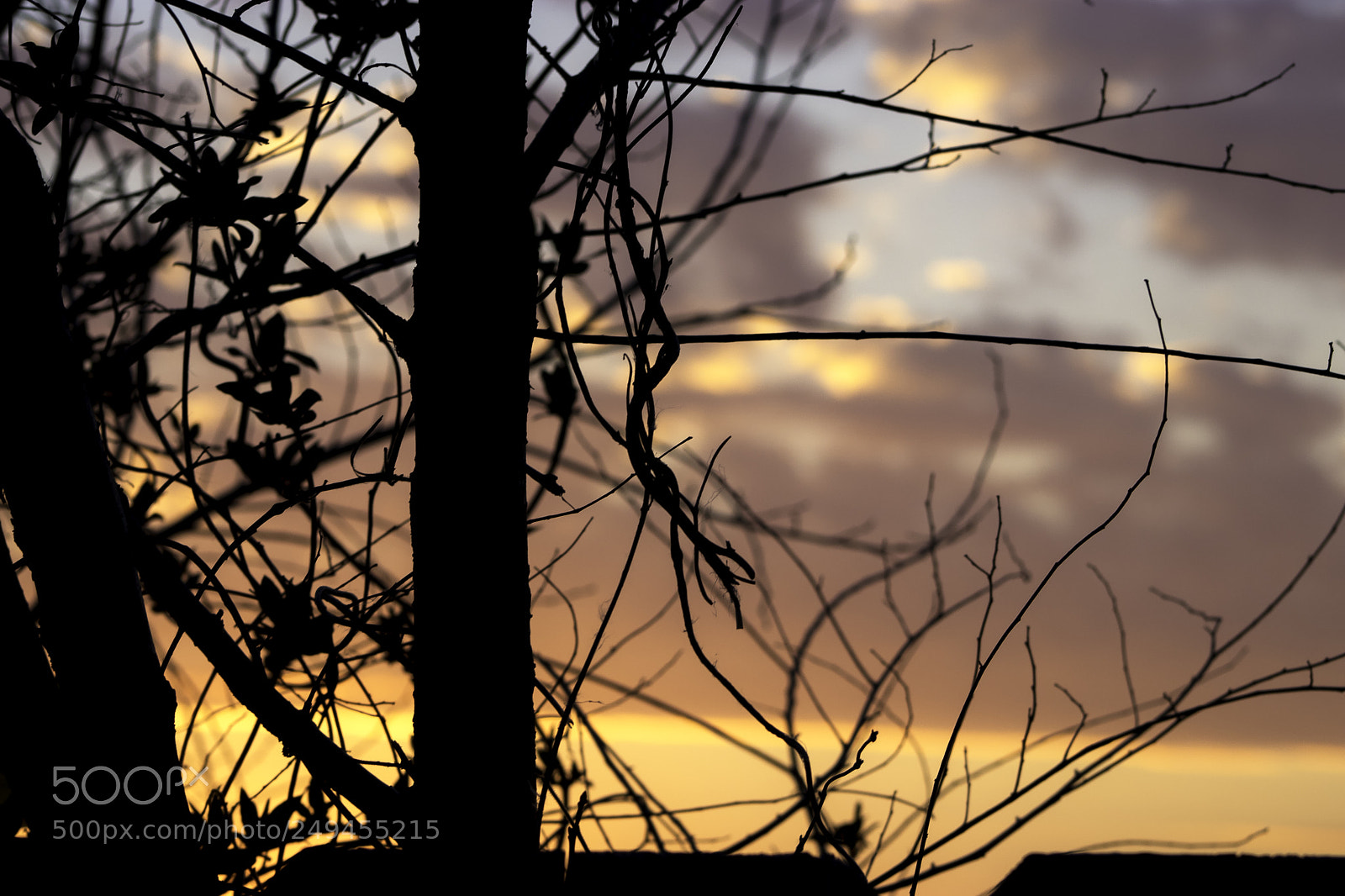 Canon EOS 80D sample photo. Sunset 3 photography