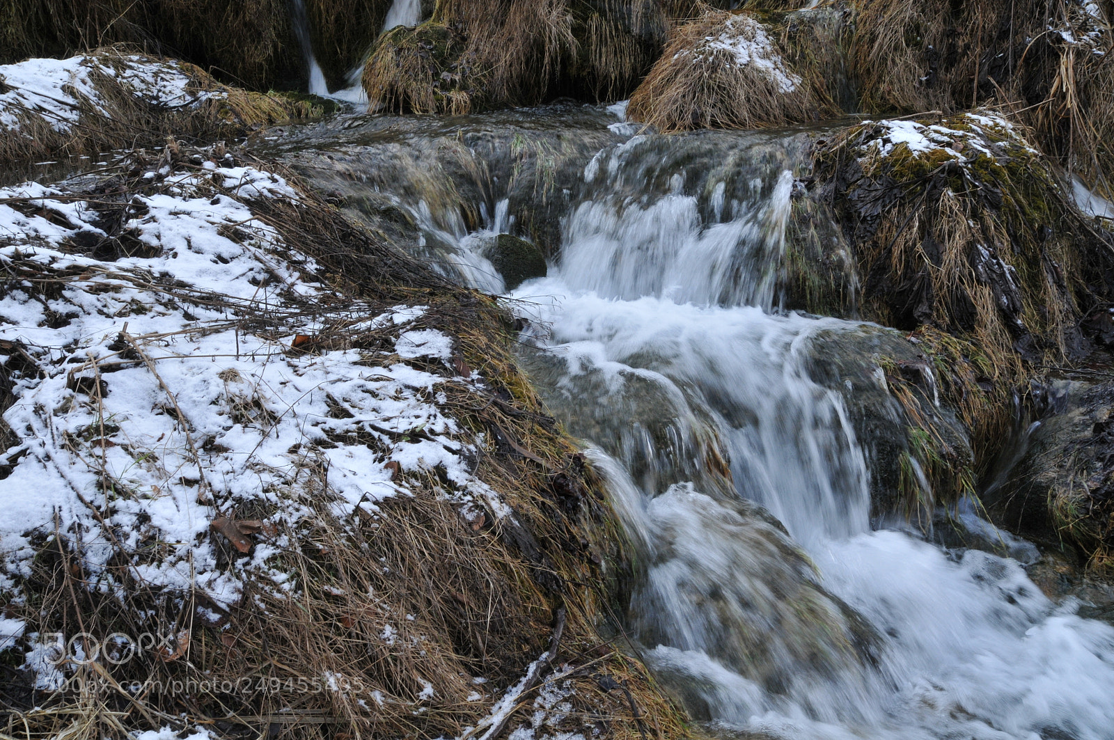 Nikon D300 sample photo. Untitled photography