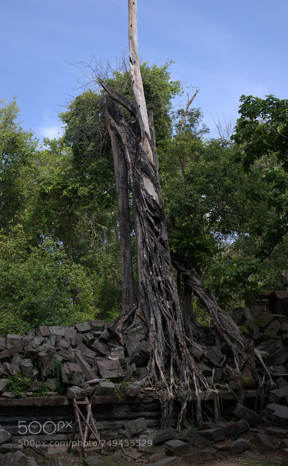 Nikon Df sample photo. Beng mealea photography