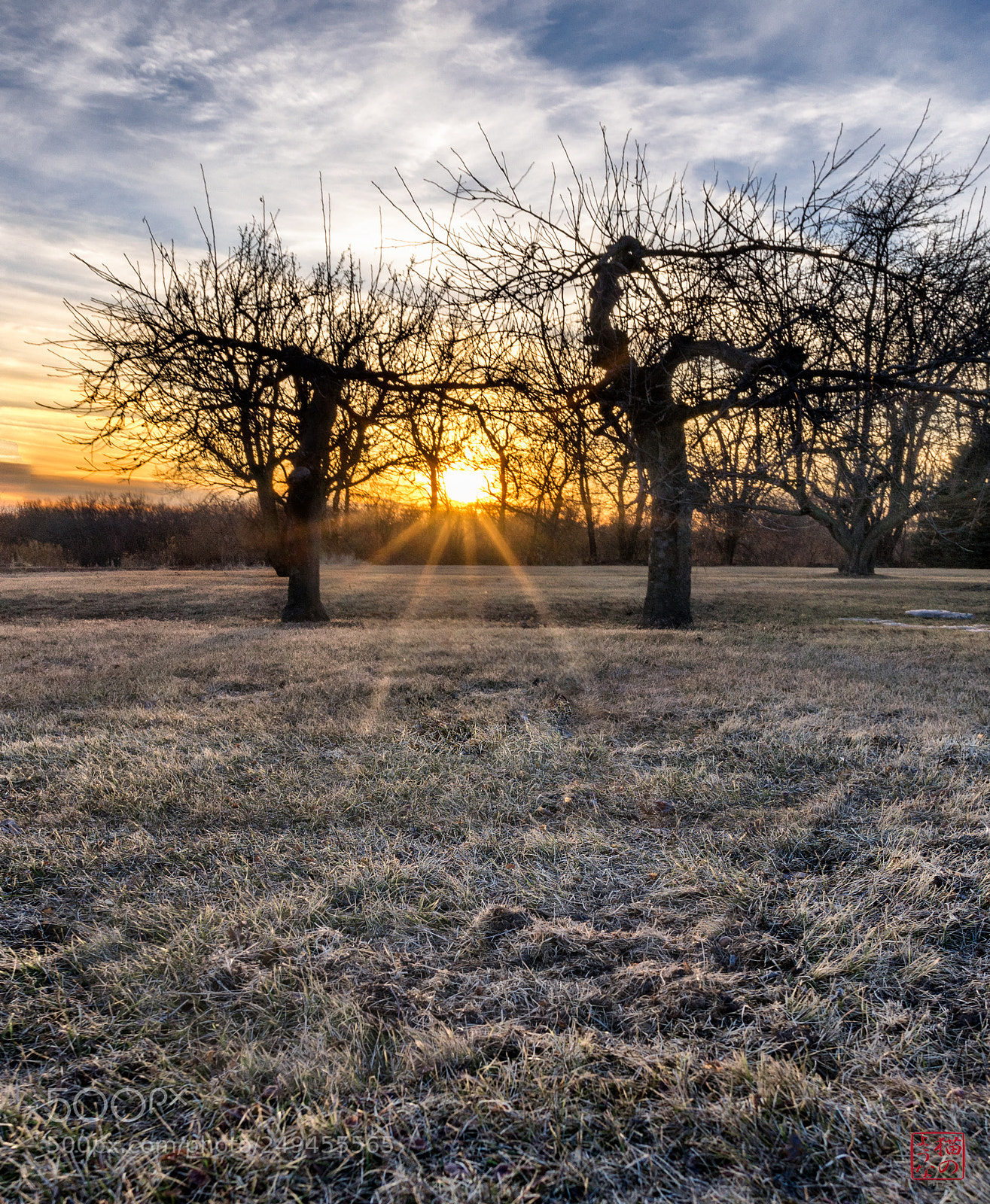 Sony a7 sample photo. Grizzled guardians photography