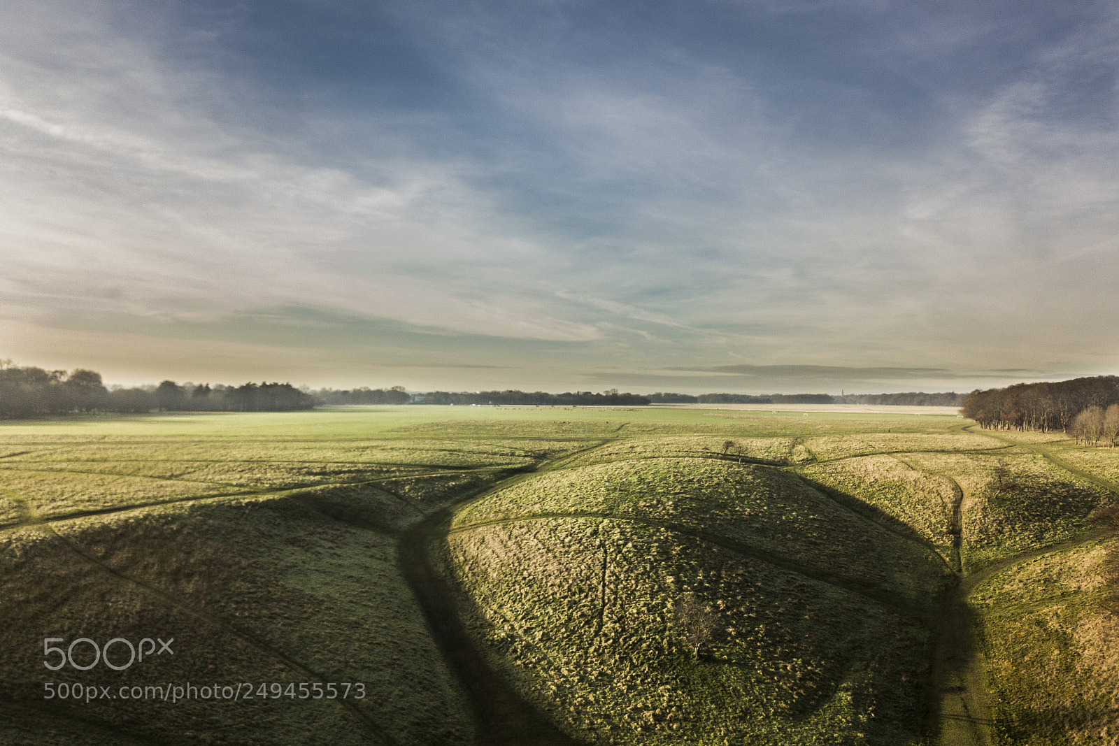 DJI FC220 sample photo. Deer trails in dublin photography
