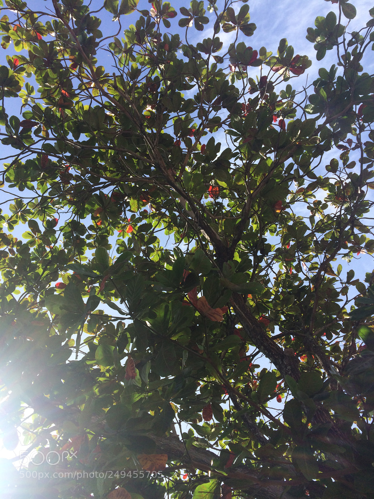 Apple iPhone 5s sample photo. Untitled photography
