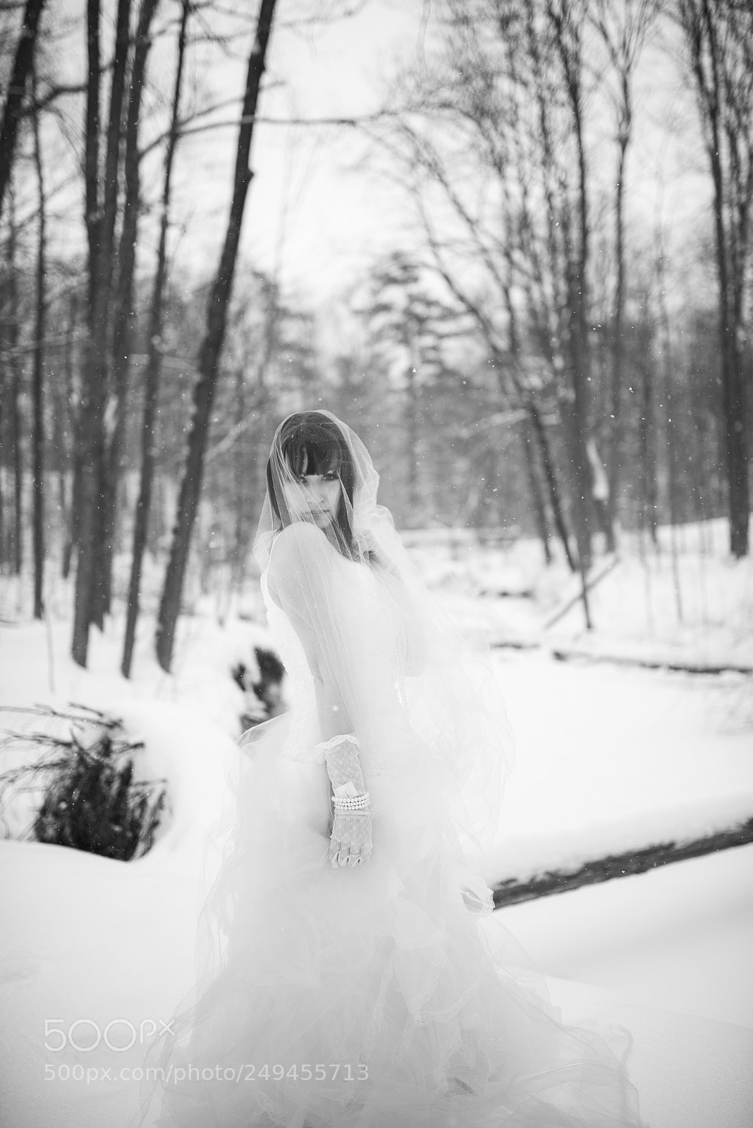Nikon D610 sample photo. Untitled photography