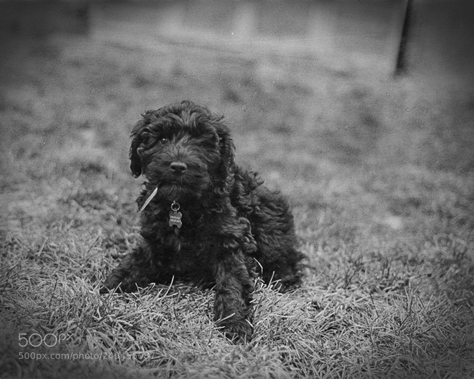 Nikon D810 sample photo. Real film photography