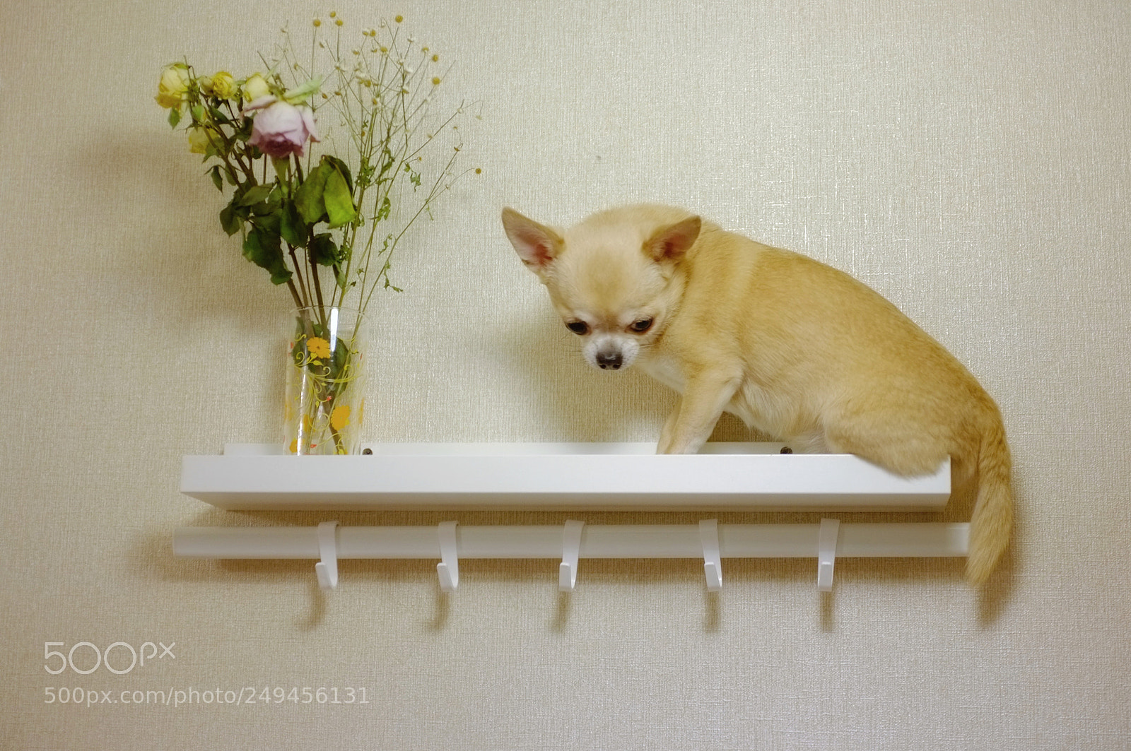 Fujifilm FinePix X100 sample photo. Untitled photography