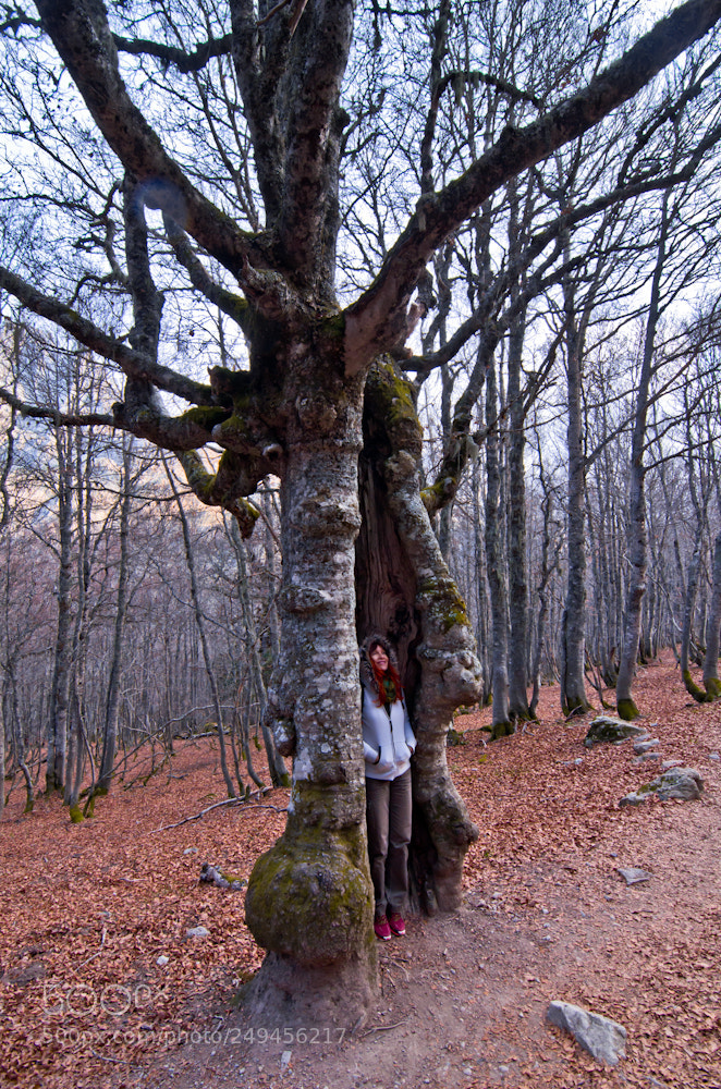 Nikon D7000 sample photo. Woman in a tree photography
