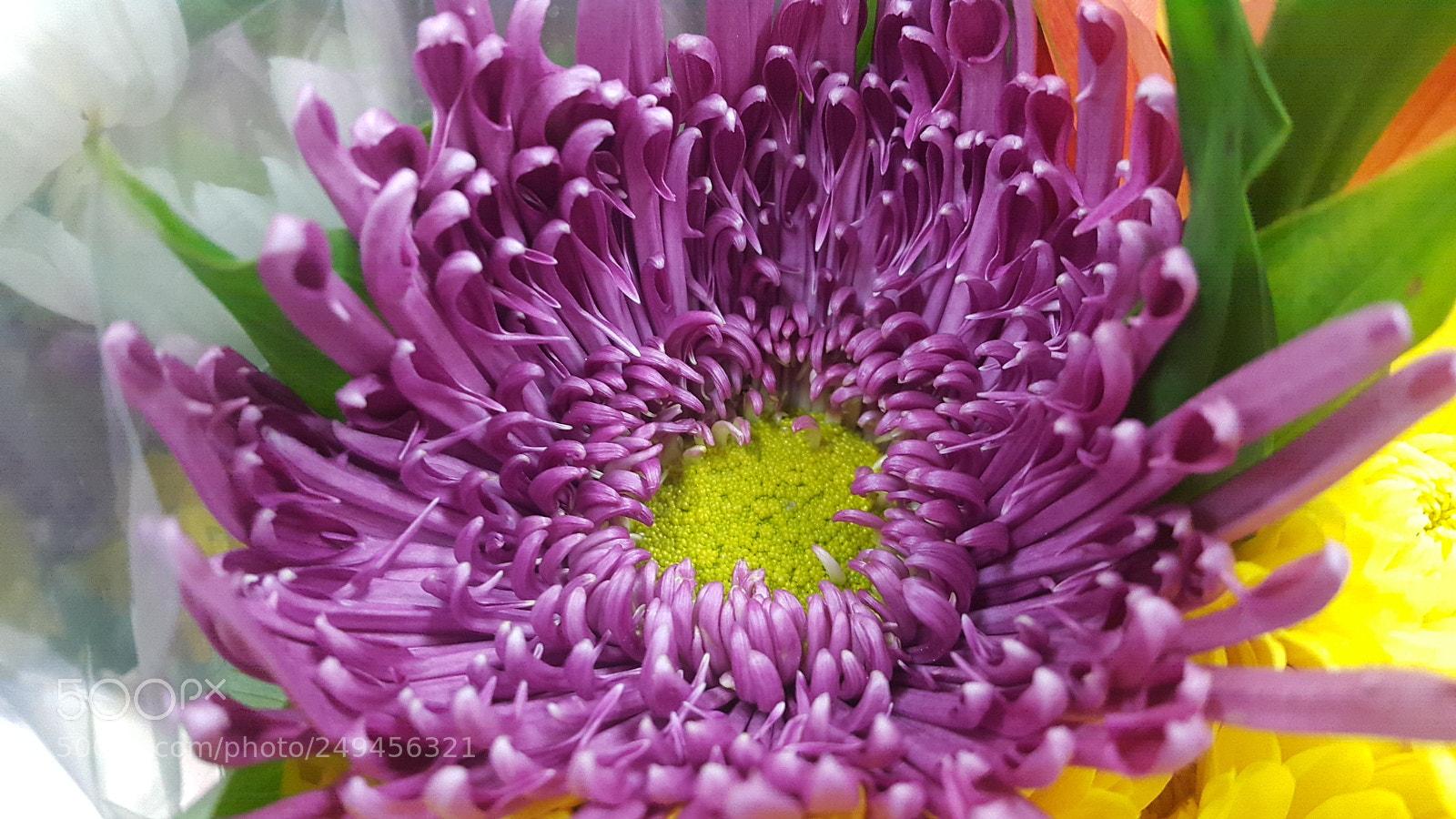 Samsung Galaxy Note4 sample photo. Untitled photography