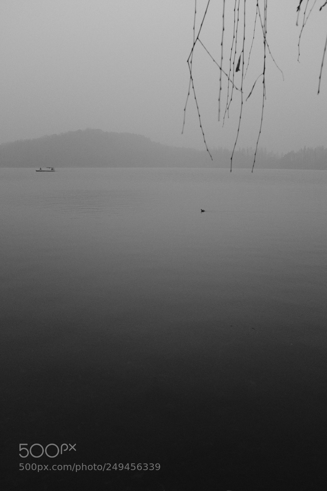 Fujifilm X100F sample photo. Untitled photography