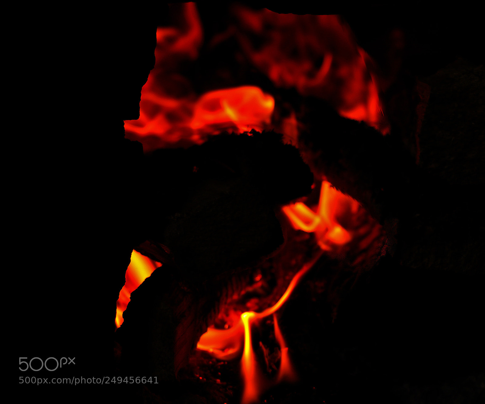 Canon EOS 7D Mark II sample photo. Untitled photography