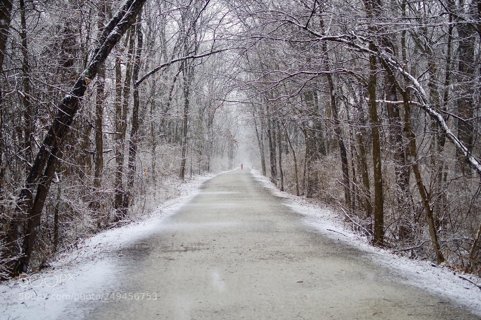 Pentax KP sample photo. Untitled photography