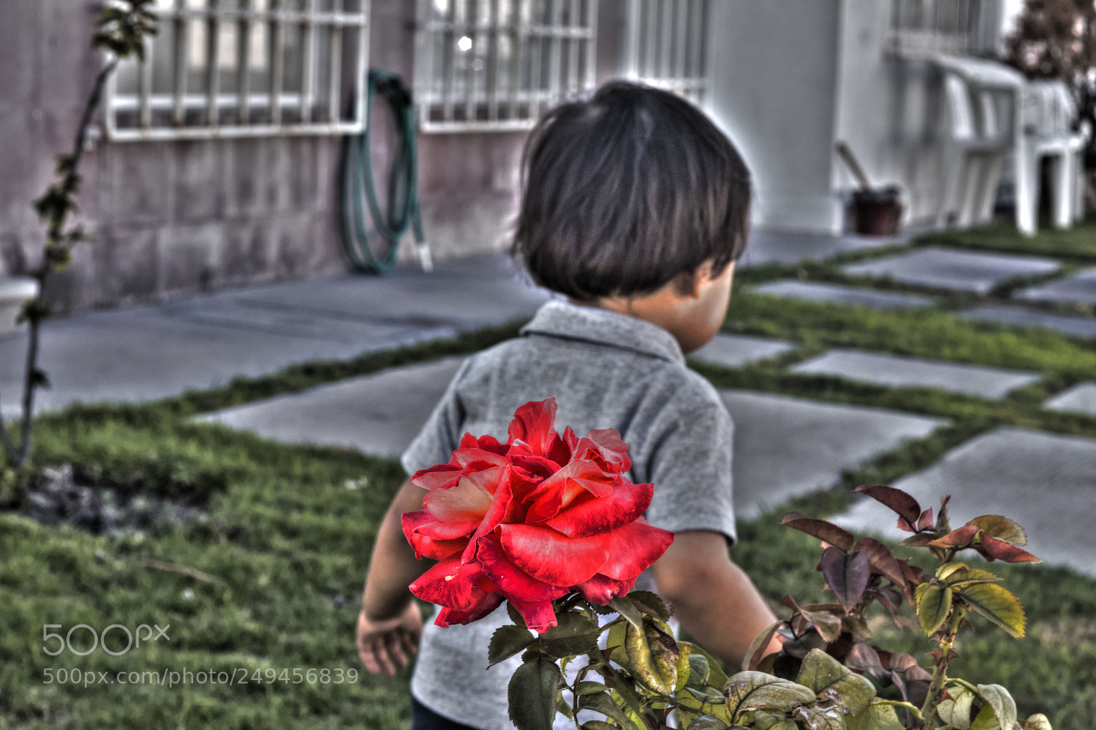 Canon EOS 70D sample photo. Andmore tonemapped photography