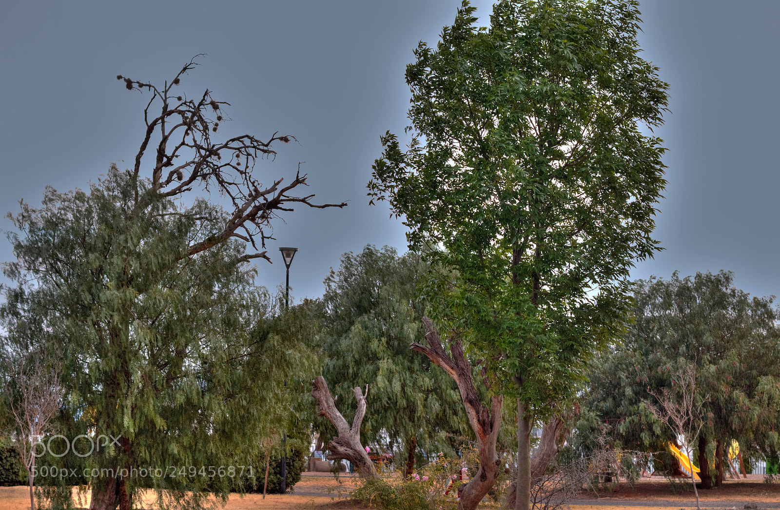 Canon EOS 70D + Canon EF 50mm F1.8 II sample photo. Tonemapped photography