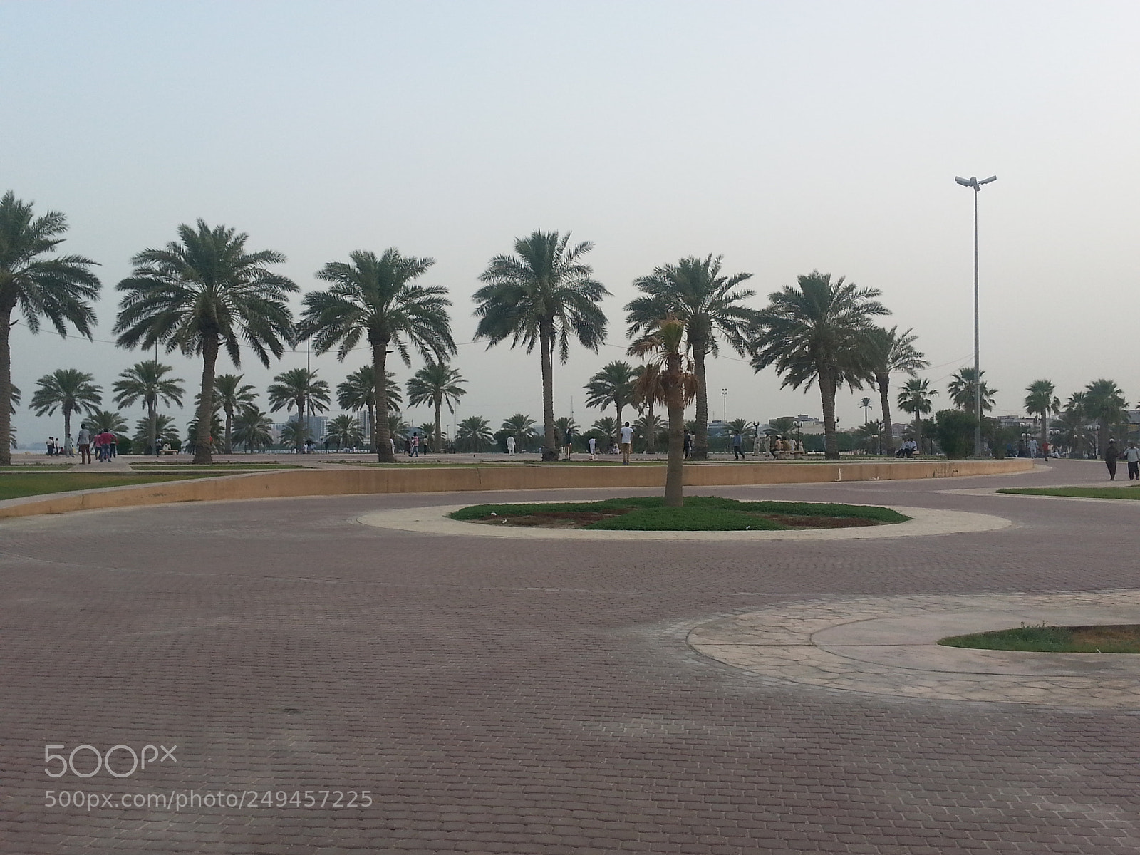 Samsung Galaxy S3 sample photo. Untitled photography
