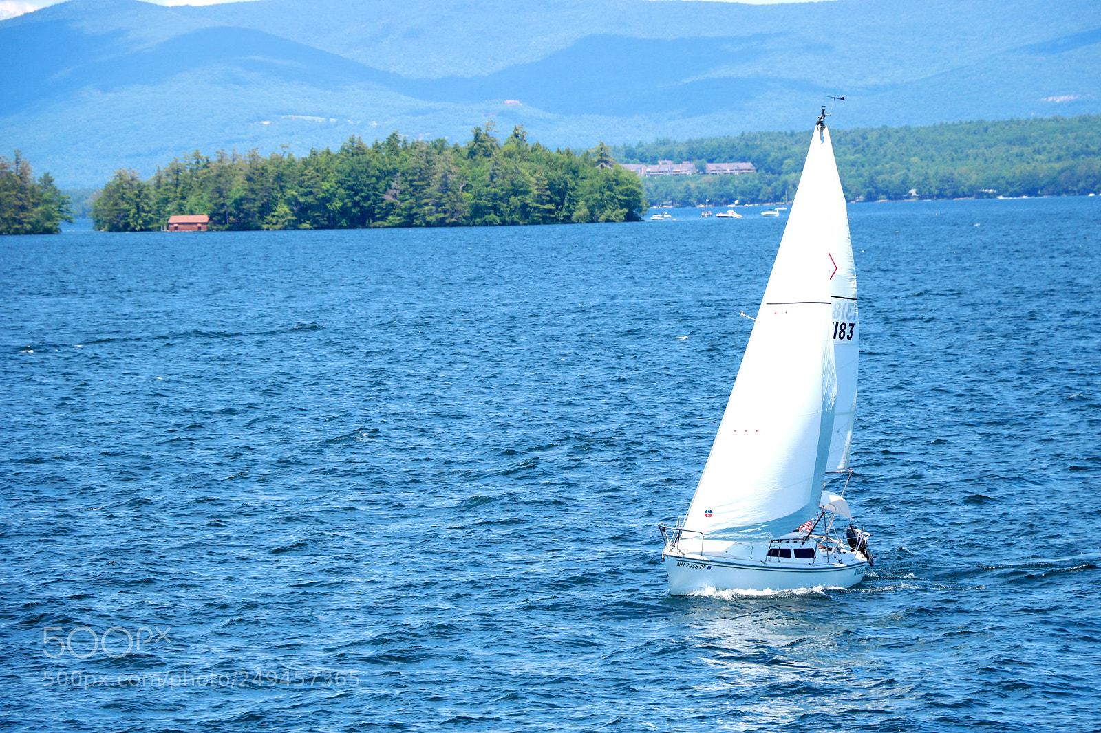 Canon EOS 750D (EOS Rebel T6i / EOS Kiss X8i) sample photo. Leading the way... photography