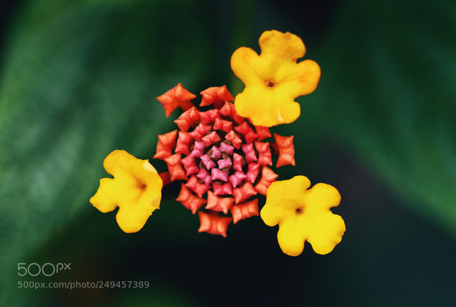 Nikon D7100 sample photo. Untitled photography