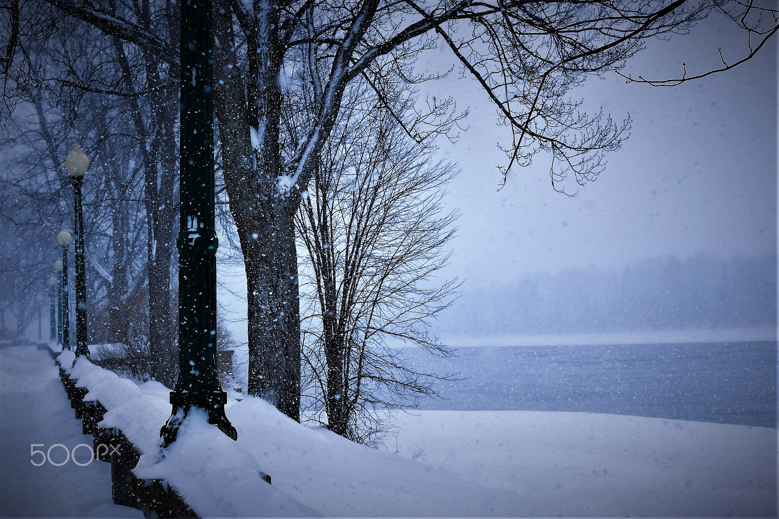 Nikon D500 + Nikon AF-S Nikkor 50mm F1.8G sample photo. My winter photography